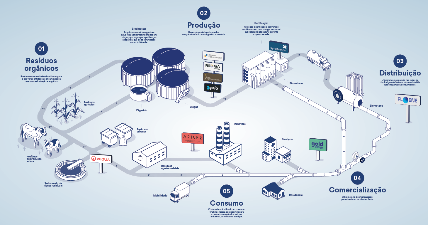 Cadeia de valor do biometano: 01 Resíduos orgânicos, 02 Produção, 03 Distribuição, 04 Comercialização, 05 Consumo